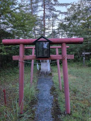 出世稲荷神社(向羽黒山城羽黒山神社境内社)の参拝記録(SFUKUさん)
