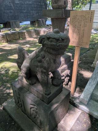 金王丸御影堂（金王八幡宮境内社）の参拝記録(はくすみさん)