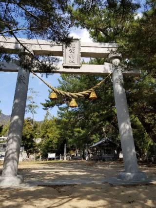 桂濱神社の参拝記録(さすらいきゃんぱさん)