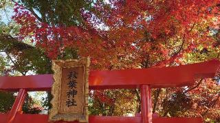 秋葉神社(琴崎八幡宮境内社)の参拝記録(matsuyoshi49さん)