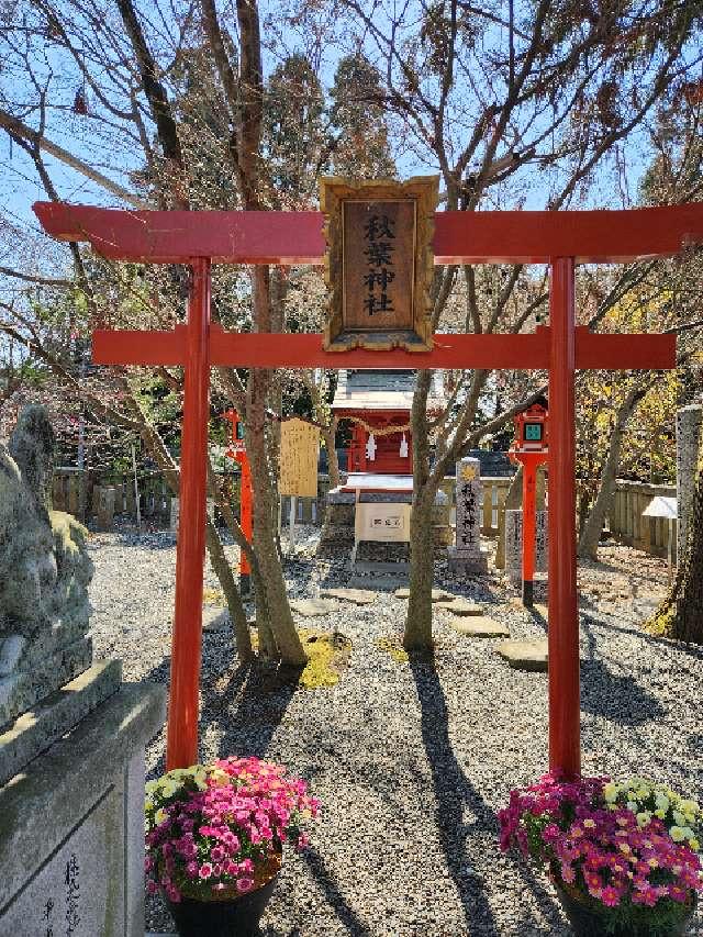 山口県宇部市大字上宇部大小路 秋葉神社(琴崎八幡宮境内社)の写真3