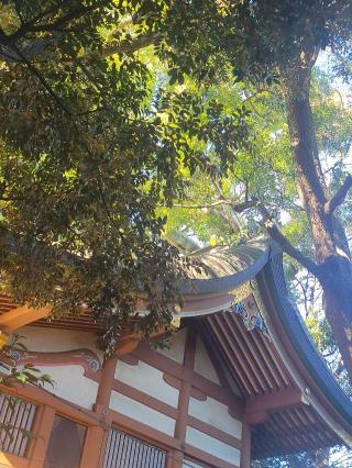 代々木出世稲荷（代々木八幡宮）の参拝記録(めぐみさん)