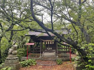 東風崎神社の参拝記録(じゃすてぃさん)