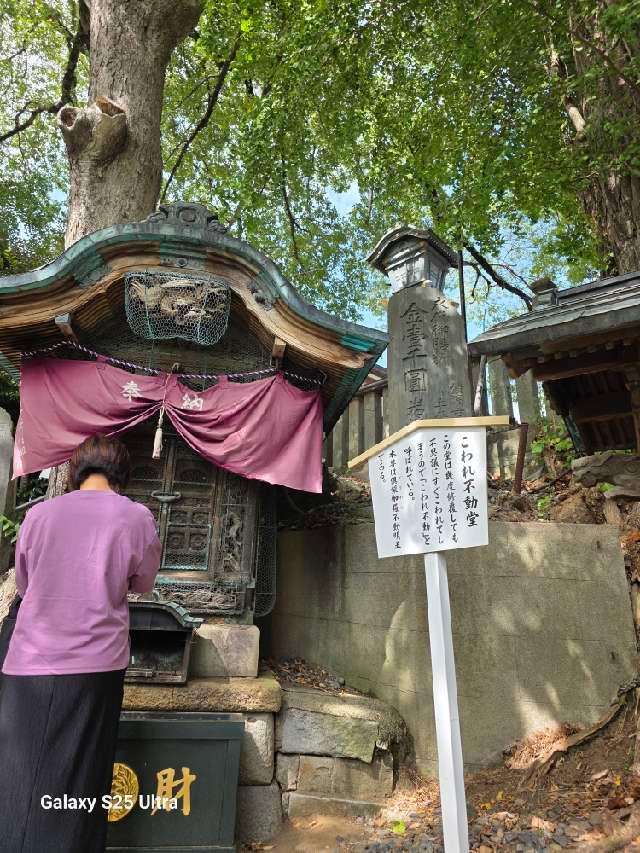 成田山新勝寺 こわれ不動堂の参拝記録1