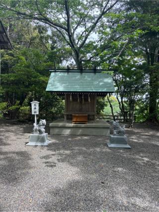 琴平社（安房神社末社）の参拝記録(⛩️🎠🐢まめ🐢🎠⛩️さん)