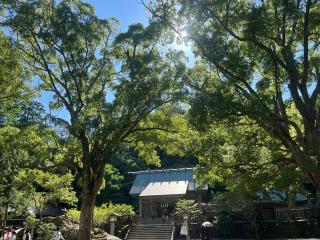 琴平社（安房神社末社）の参拝記録(ししむさん)
