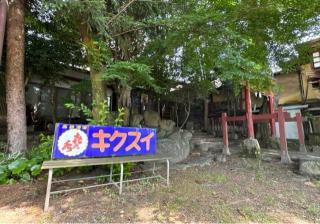 烏山稲荷神社の参拝記録(竜胆の花さん)
