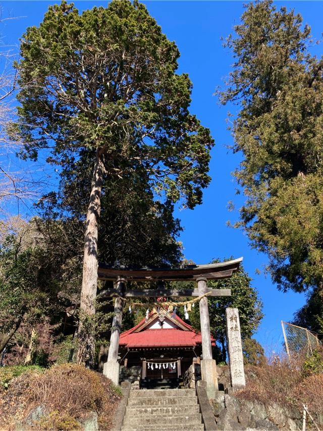 埼玉県比企郡ときがわ町大野329 大野神社の写真1
