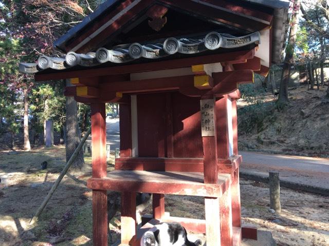 奈良県奈良市雑司町４０６−１ 白山神社の写真1