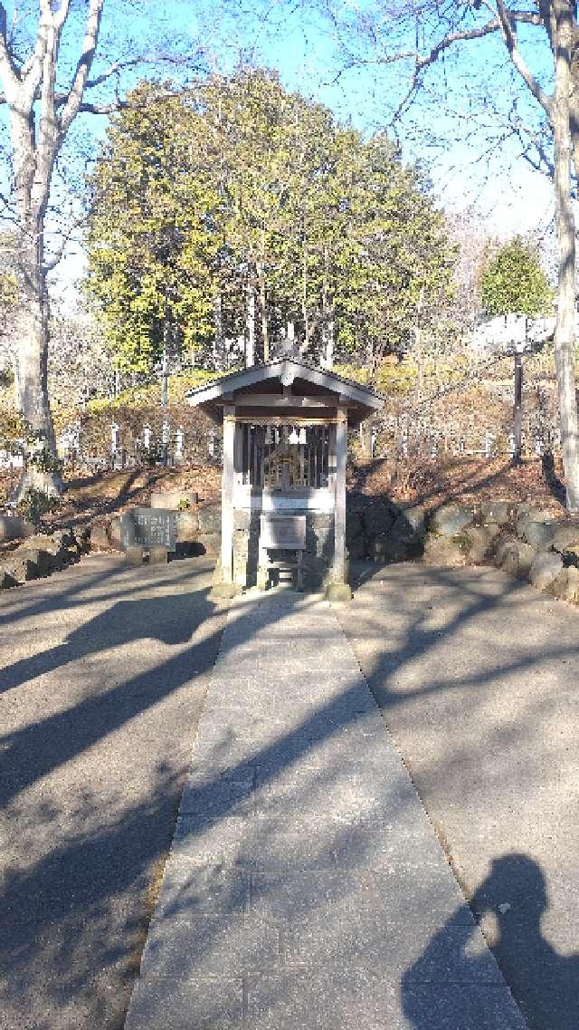 薬神神社（常陸国出雲大社境内）の参拝記録6