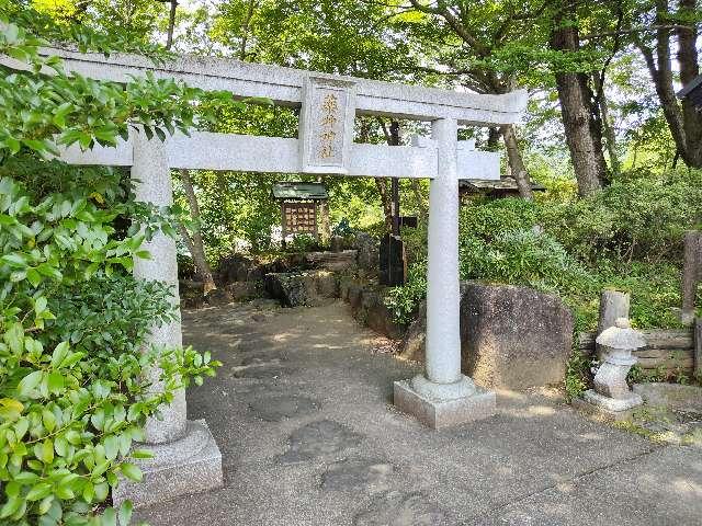 薬神神社（常陸国出雲大社境内）の参拝記録5