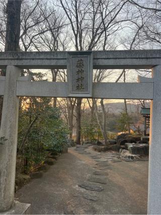 薬神神社（常陸国出雲大社境内）の参拝記録(⛩️🐍🐢まめ🐢🐍⛩️さん)