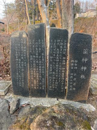 薬神神社（常陸国出雲大社境内）の参拝記録(⛩️🐍🐢まめ🐢🐍⛩️さん)