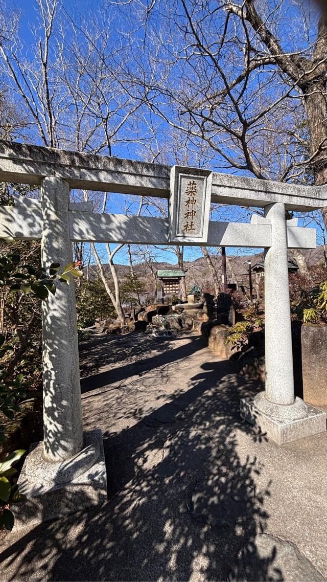 薬神神社（常陸国出雲大社境内）の参拝記録7