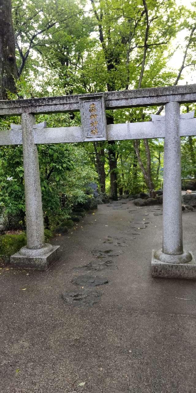 薬神神社（常陸国出雲大社境内）の参拝記録6