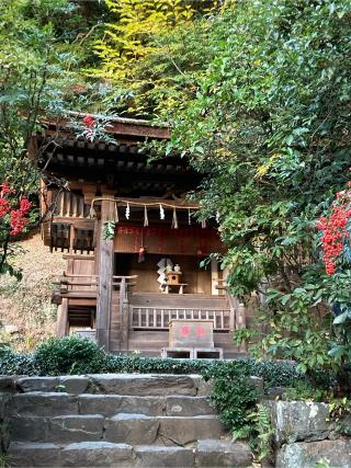 春日神社（宇治上神社摂社）の参拝記録(恭子さん)