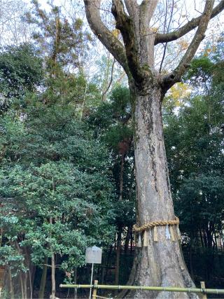 住吉社（宇治上神社）の参拝記録(恭子さん)