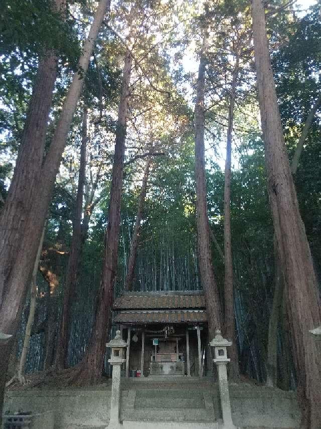 滋賀県湖南市夏見１７２９ 神明神社 (湖南市)の写真1