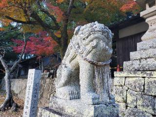 離宮八幡神社の参拝記録(飛成さん)