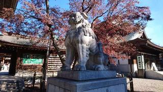 寒川神社・神門の参拝記録(yukiさん)
