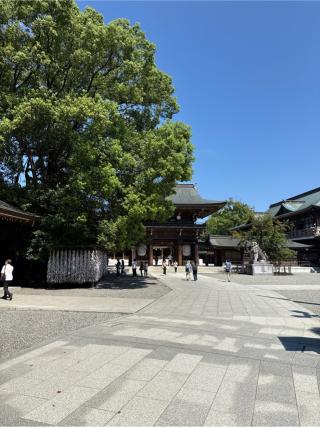 寒川神社・神門の参拝記録(⛩️🐍🐢まめ🐢🐍⛩️さん)