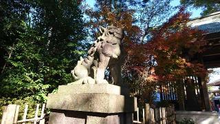 寒川神社・南門の参拝記録(yukiさん)