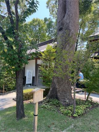 寒川神社・南門の参拝記録(⛩️🐍🐢まめ🐢🐍⛩️さん)