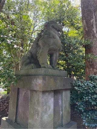 寒川神社・南門の参拝記録(⛩️🐍🐢まめ🐢🐍⛩️さん)