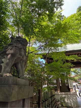 寒川神社・南門の参拝記録(マ🌸ノさん)