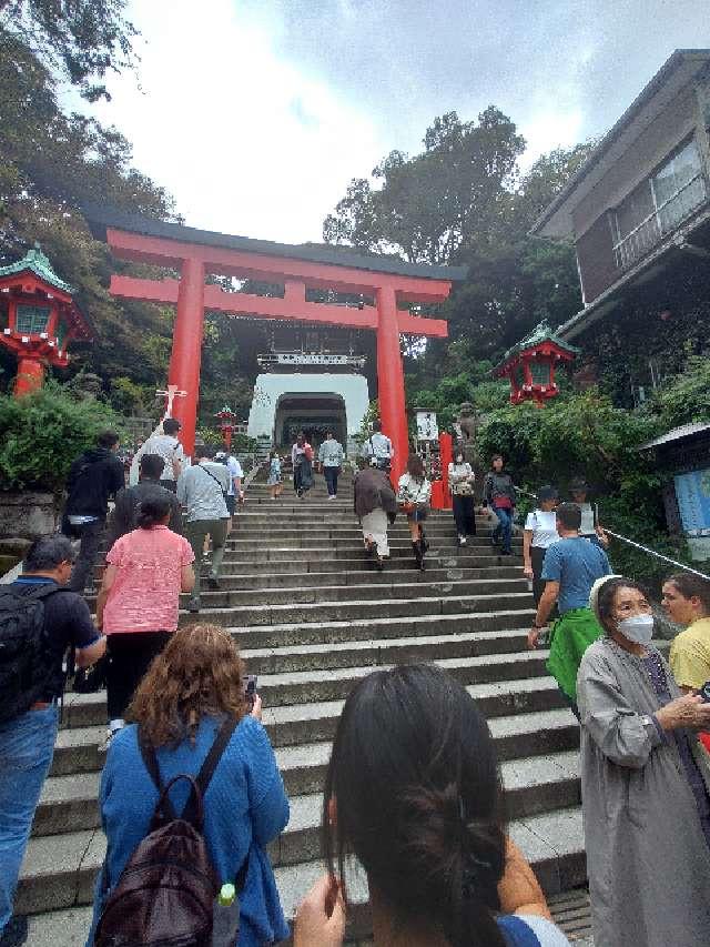 朱の鳥居（江島神社）の参拝記録7