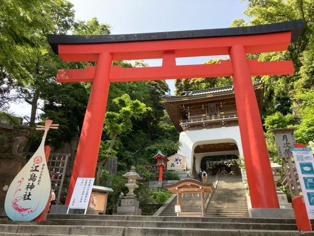 神奈川県藤沢市江の島２ 朱の鳥居（江島神社）の写真2