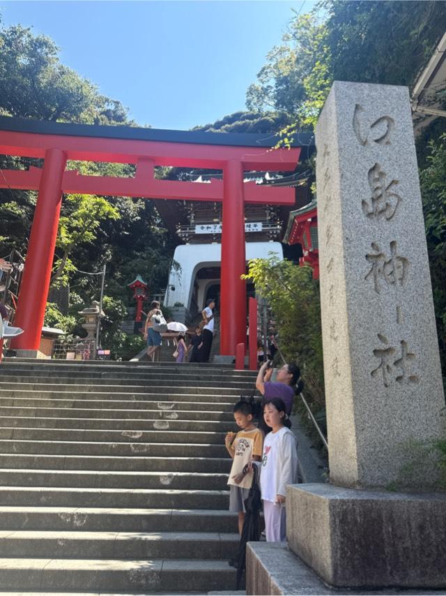 朱の鳥居（江島神社）の参拝記録10