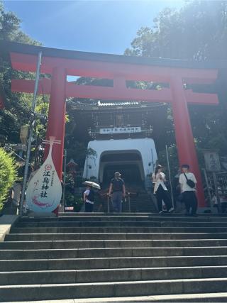 朱の鳥居（江島神社）の参拝記録(コットンさん)