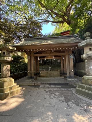 朱の鳥居（江島神社）の参拝記録(コットンさん)