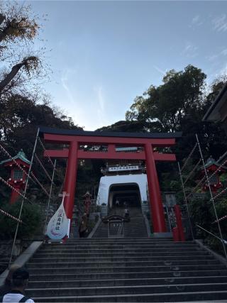 朱の鳥居（江島神社）の参拝記録(⛩️🐍🐢まめ🐢🐍⛩️さん)
