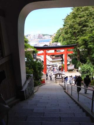 朱の鳥居（江島神社）の参拝記録(誉田グリーンさん)