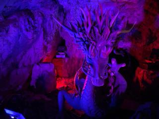 岩屋（江島神社発祥の地）の参拝記録(ハコさん)