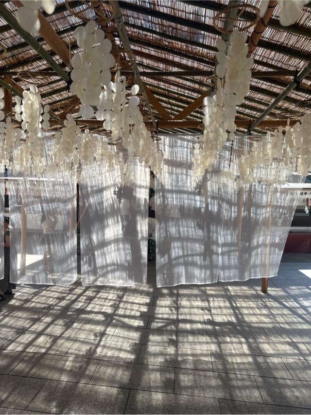 銭洗白龍王(江島神社内)の参拝記録4