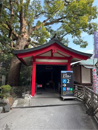 銭洗白龍王（江島神社）の参拝記録(⛩️🐍🐢まめ🐢🐍⛩️さん)