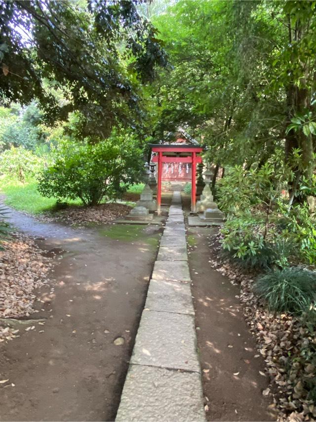 明治神社(前玉神社境内社)の参拝記録2