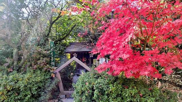 北野神社(阿佐ヶ谷神明宮末社)の参拝記録7