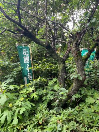 北野神社(阿佐ヶ谷神明宮末社)の参拝記録(⛩️🐍🐢まめ🐢🐍⛩️さん)