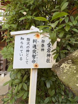愛宕神社(行田八幡神社境内社)の参拝記録(色部優兎さん)