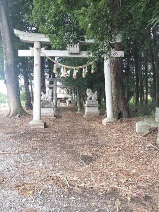 黒田八幡宮の参拝記録(さとみさん)