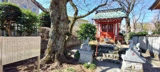 桜稲荷社(高ヶ坂熊野神社)の参拝記録(まーぼーさん)