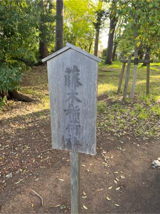 藤木稲荷社(菅原神社)の参拝記録(⛩️🐍🐢まめ🐢🐍⛩️さん)