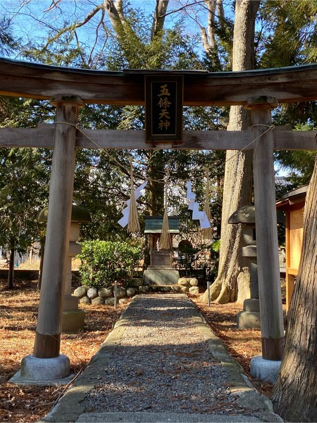 長野県松本市筑摩2丁目6 五條天神の写真1