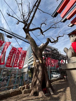 藤の森稲荷天神の参拝記録(ととるしさん)