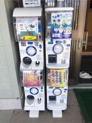 苫小牧稲荷神社(樽前山神社境内社)の参拝記録(makiさん)