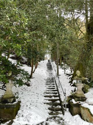 八幡神社の参拝記録(くじらさん)